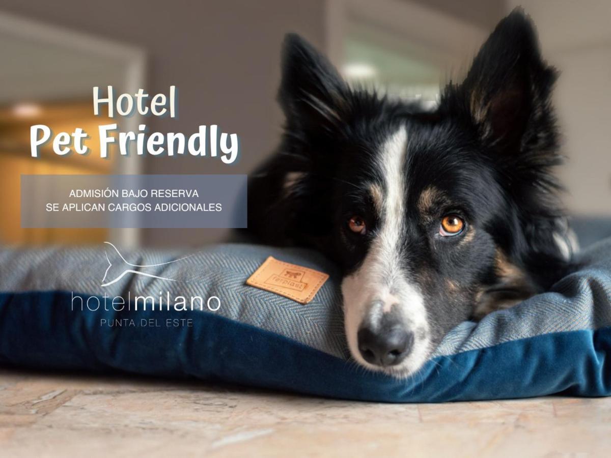 Hotel Milano Πούντα ντελ Έστε Εξωτερικό φωτογραφία